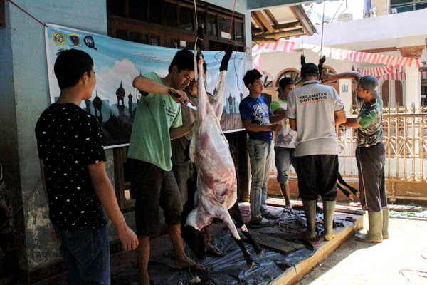 Download 560 Gambar Animasi Penyembelihan Hewan Qurban HD Terbaru Download 560 Gambar Animasi Penyembelihan Hewan Qurban HD Terbaru